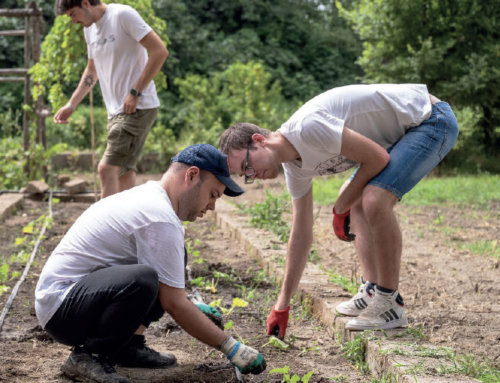 G7-Inclusione e Disabilità